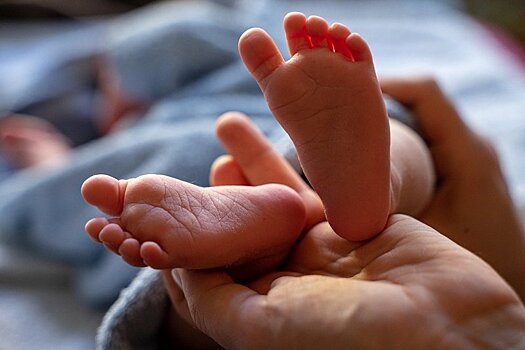 За первые девять месяцев в Карелии родились 3402 ребенка, у шести семей – тройняшки