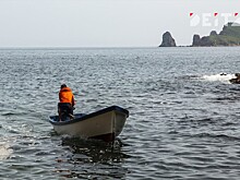 Дрейфовавший больше недели труп амурского тигра нашли в Приморье