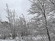 Вильфанд назвал дату следующего снегопада в Москве