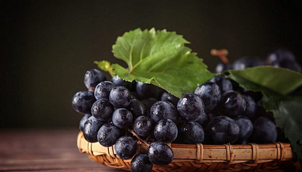 11 полезных для здоровья свойств черного винограда