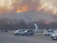 Более 15 строений уничтожены в Приморье в результате ландшафтных пожаров