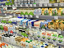 В Роспотребнадзоре рассказали, как хранить продукты и готовые блюда в жаркую погоду