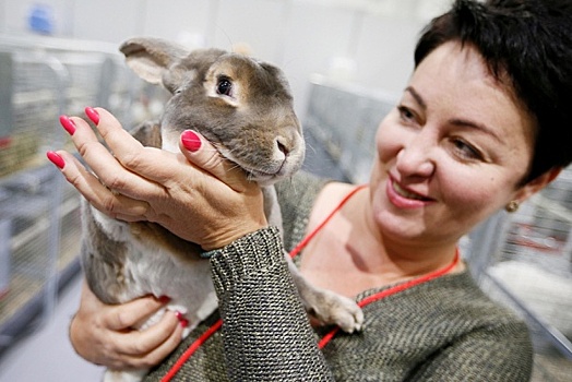 В Краснодаре открылась главная животноводческая выставка Юга России