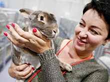 В Краснодаре открылась главная животноводческая выставка Юга России