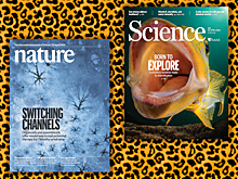 Что нового в Nature, Science и The Lancet. 2 мая