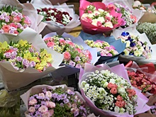 Казахстан близок к статусу главного экспортера цветов в РФ