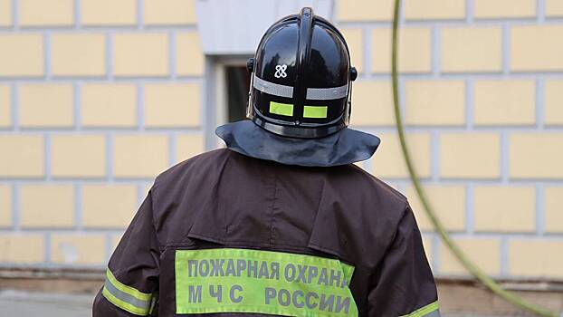 День создания органов пожарного надзора в России и День Нельсона Манделы: какие праздники отмечают 18 июля