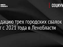 Ликвидацию трех городских свалок начнут с 2021 года в Ленобласти