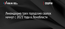 Ликвидацию трех городских свалок начнут с 2021 года в Ленобласти