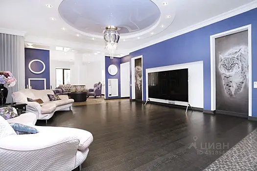 За 65 млн рублей продают особняк с рысями на стенах под Новосибирском