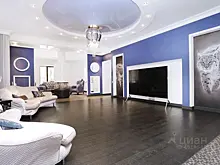 За 65 млн рублей продают особняк с рысями на стенах под Новосибирском