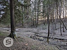 В Ижевске покраснела река Карлутка