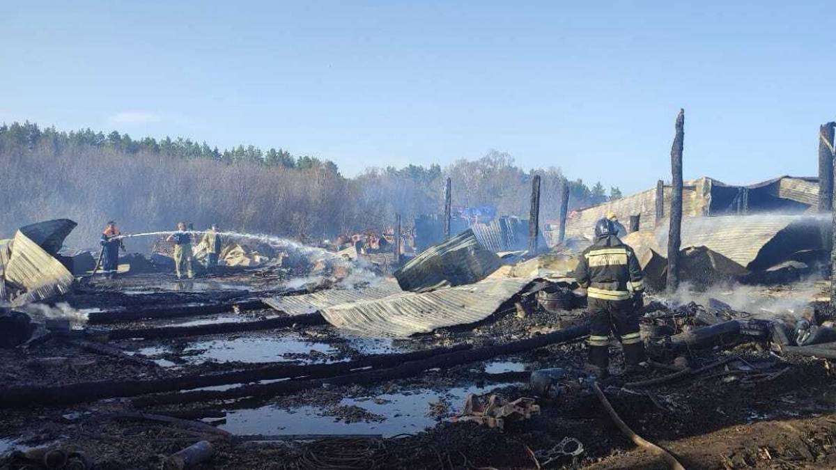 Животные погибли при крупном пожаре в деревне в Башкортостане