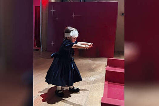 Жена юмориста Петросяна показала редкое фото дочери у елки