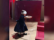 Жена юмориста Петросяна показала редкое фото дочери у елки