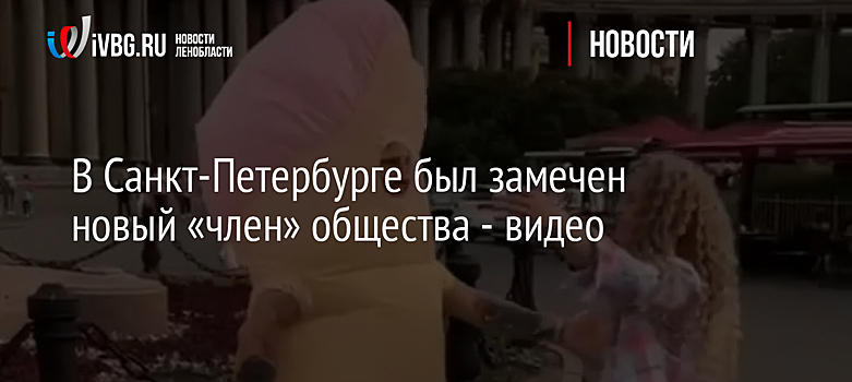 В Санкт-Петербурге был замечен новый «член» общества - видео