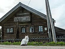 МЧС проконтролирует съемки со сжиганием декораций в карельской деревне