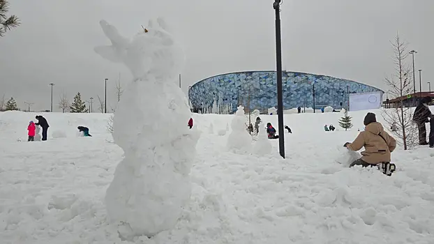 В Новосибирске молодежные отряды помогают горожанам справляться со снежной стихией
