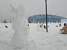 В Новосибирске молодежные отряды помогают горожанам справляться со снежной стихией
