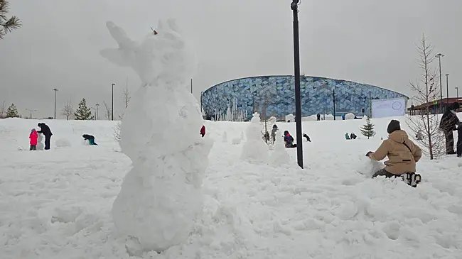 В Новосибирске молодежные отряды помогают горожанам справляться со снежной стихией
