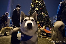 Сказочная ночь: омские синоптики дали прогноз на Новый год