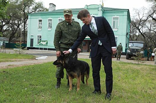 Приморские пограничники приняли грамоты из рук главы Приморья