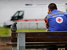 Алтайский край, Тыва, Санкт-Петербург — коронавирусные аномалии России