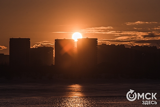 Солнце и капелька безысходности. Как в иллюстрациях прячутся городские смыслы, а омичи "растут там, где ничего не растёт"