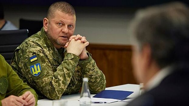Криминалист Игнатов заявил о возможном монтаже видео с главкомом Залужным