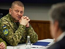 Криминалист Игнатов заявил о возможном монтаже видео с главкомом Залужным