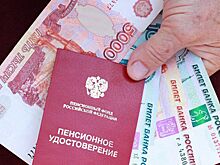 Депутат Чаплин предостерег россиян от рискованного способа повысить пенсию
