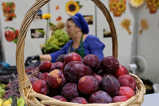 Как изменилась продуктовая корзина жителей Северного Кавказа за последние годы