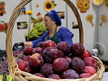 Как изменилась продуктовая корзина жителей Северного Кавказа за последние годы