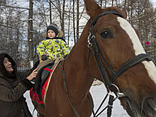 До чего же хочется, братцы, на лошадке зимой покататься