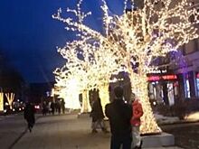 Центр Красноярска вновь украсили светящиеся деревья