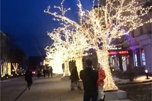 Центр Красноярска вновь украсили светящиеся деревья