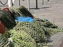За последние пять лет на Кубани в два раза выросло производство рыбы