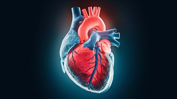 В России впервые устранили редкий порок сердца через миниразрез в груди