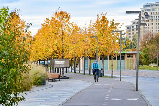 Москвичи помогут улучшить городские парки