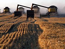 Евразийский союз полностью обеспечен сельхозпродукцией собственного производства