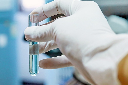 Профессор Негребецкий рассказал, чем опасен мальтит, содержащийся в зефире