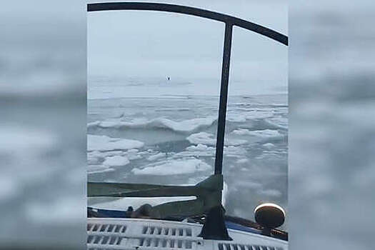 В Ленобласти рыбак оказался на отколовшейся льдине в Финском заливе