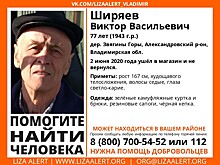 В этом году во Владимирской области потерялись 147 человек, 12 до сих пор не найдены