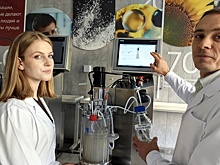 Гранты помогают омским политехникам делать открытия в сфере биотехнологий