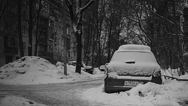 «Госуслуги» запустили анонимные уведомления для автовладельцев