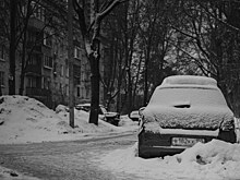 «Госуслуги» запустили анонимные уведомления для автовладельцев