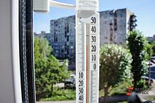 Синоптик Алексей Пулин предсказал самый жаркий день апреля с 1995 года в Екатеринбурге