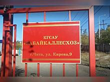 «Забйкаллесхозу» требуется срочно погасить многомиллионные долги