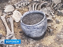 На территории Новохопёрского района найдено около 200 древних курганов