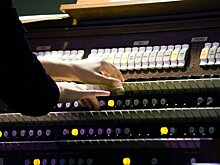 В соборе Петра и Павла состоится органный концерт Елены Приваловой